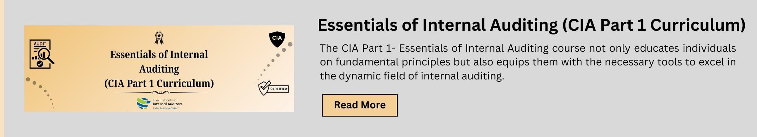 Essentials of Internal Auditing (CIA Part 1 Curriculum)